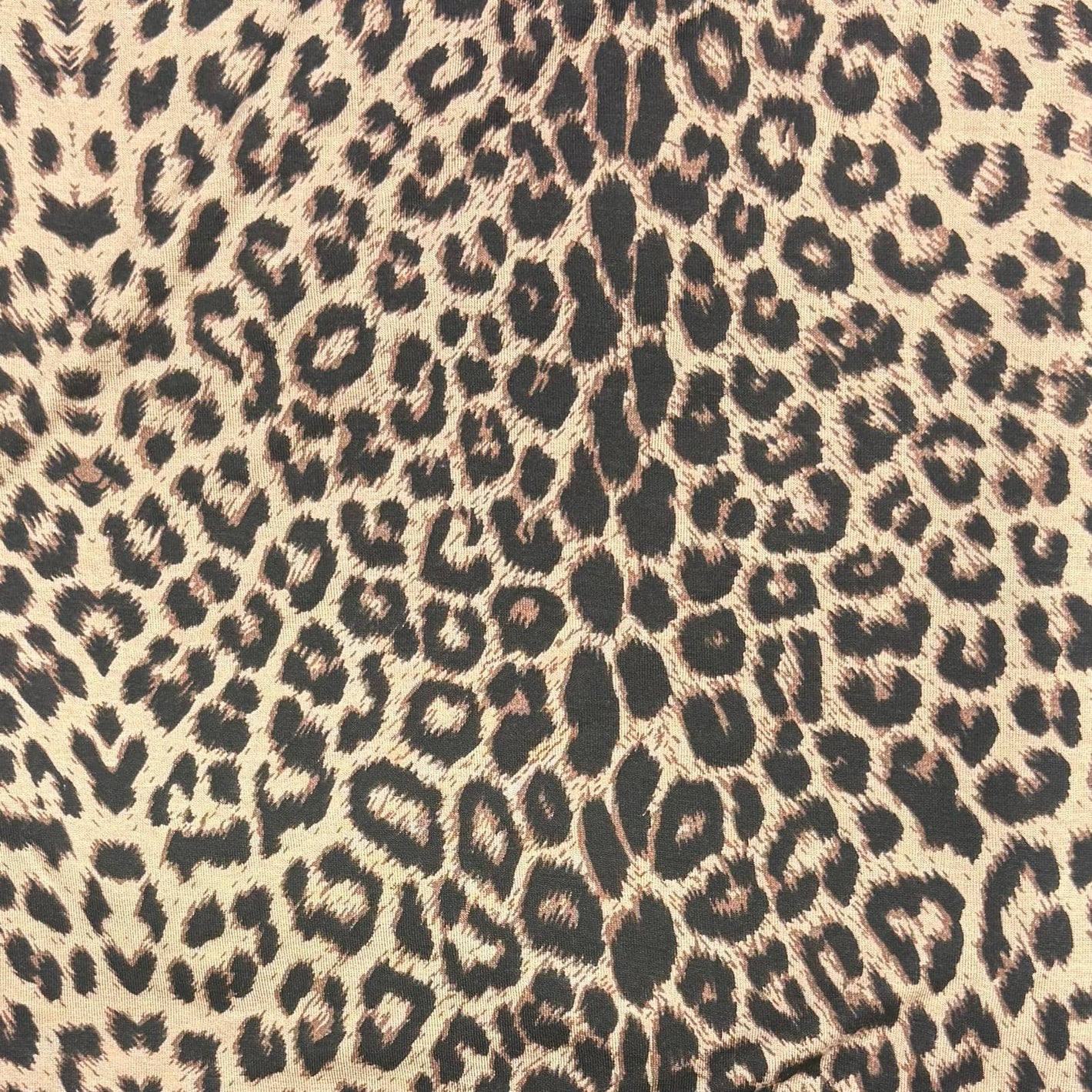 Pound A Metre 3 Metres Premium Cotton Jersey- 55'' Wide -(Cheetah)
