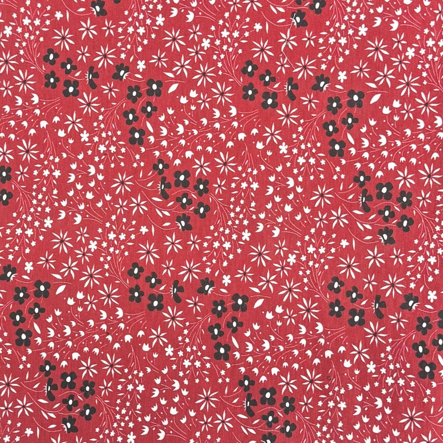 Pound A Metre 3 Metres Premium Cotton Jersey- 55'' Wide -(Red Floral)