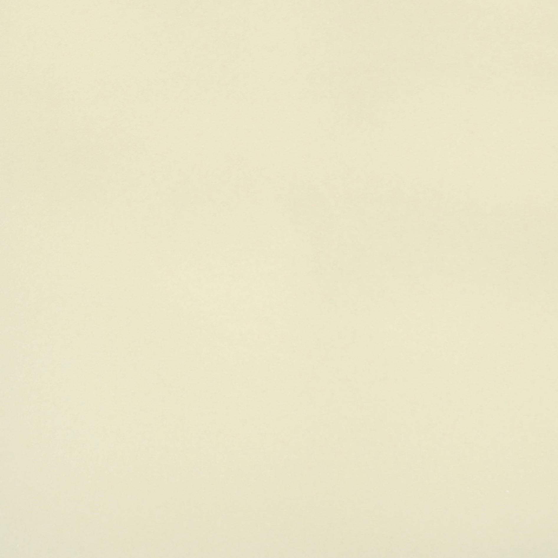 Per Metre, 38mm Base Foam, 'FOAM' -55" Wide