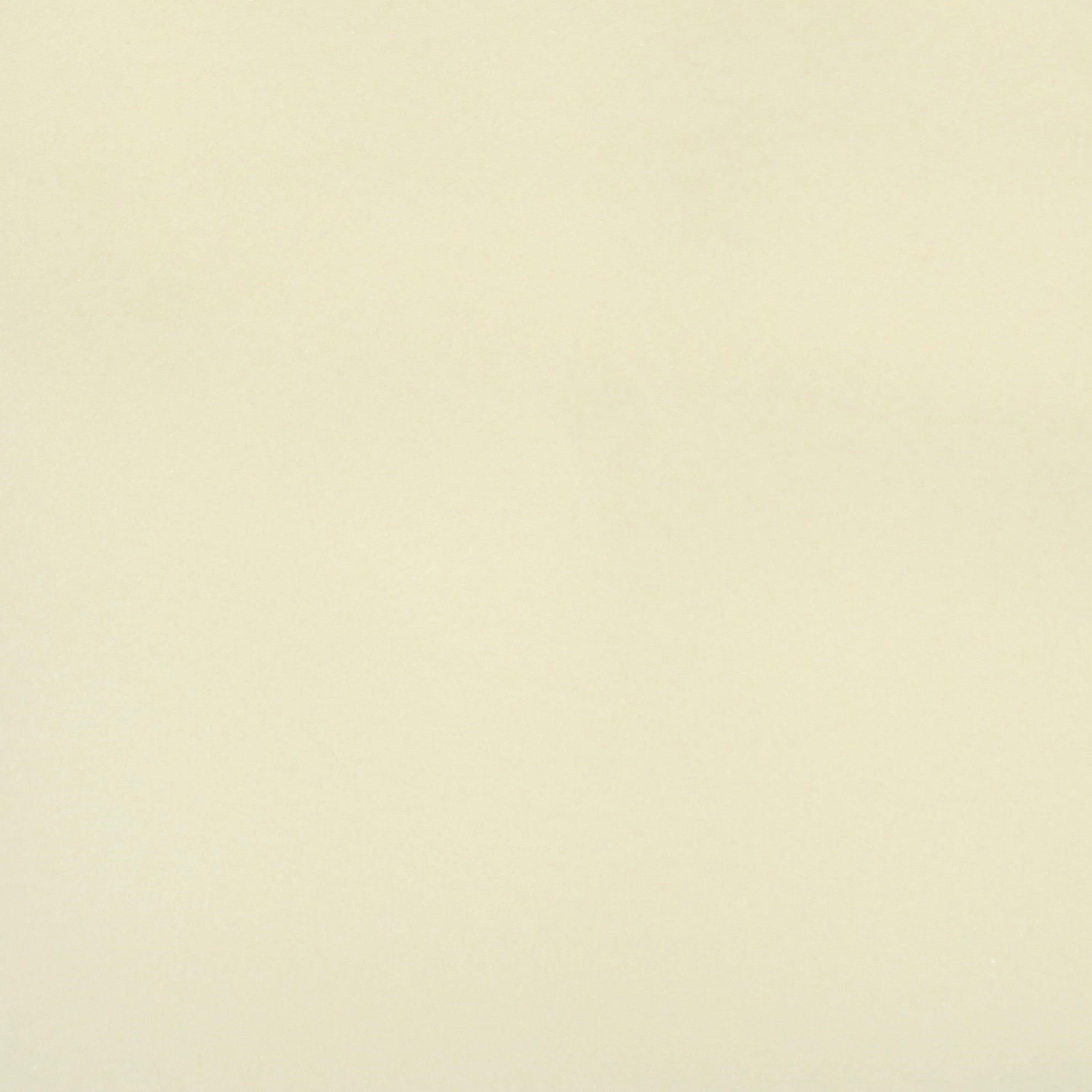 Per Metre, 38mm Base Foam, 'FOAM' -55" Wide