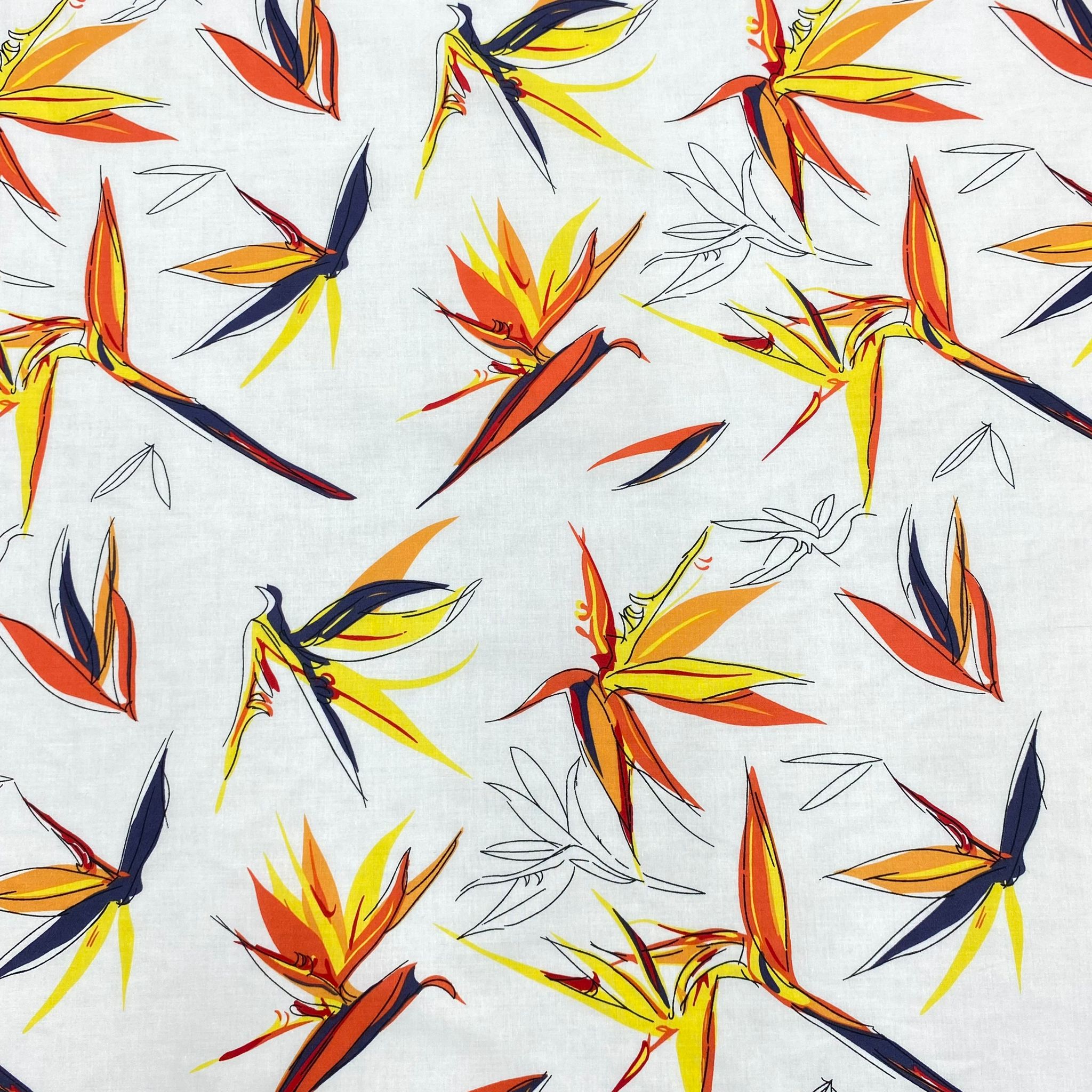 3 Metres, Premium Cotton Lawn - 60" Wide - Dragon Fly