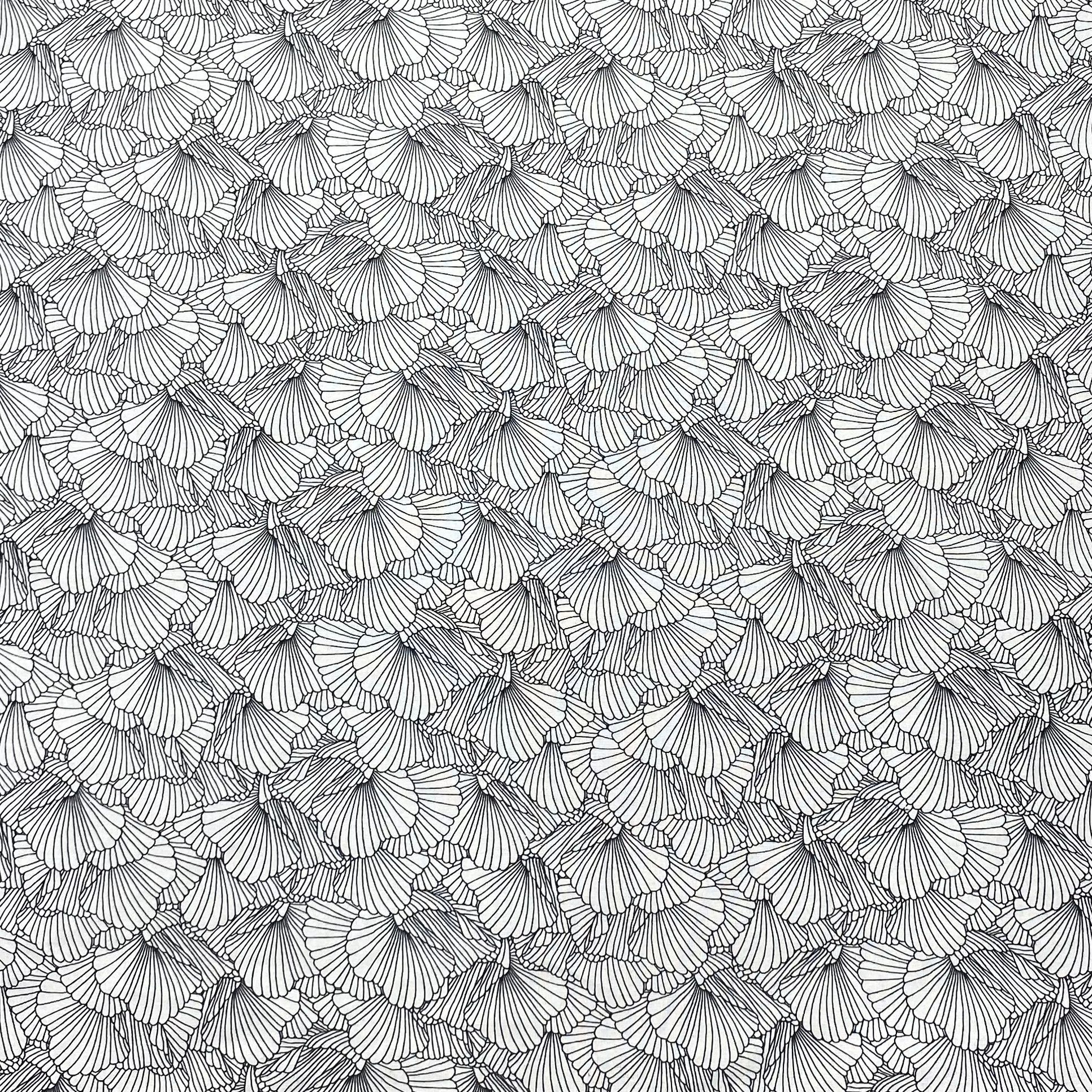 Per metre Premium Quilting Cotton, 'Black & White Floral' - 45" Wide