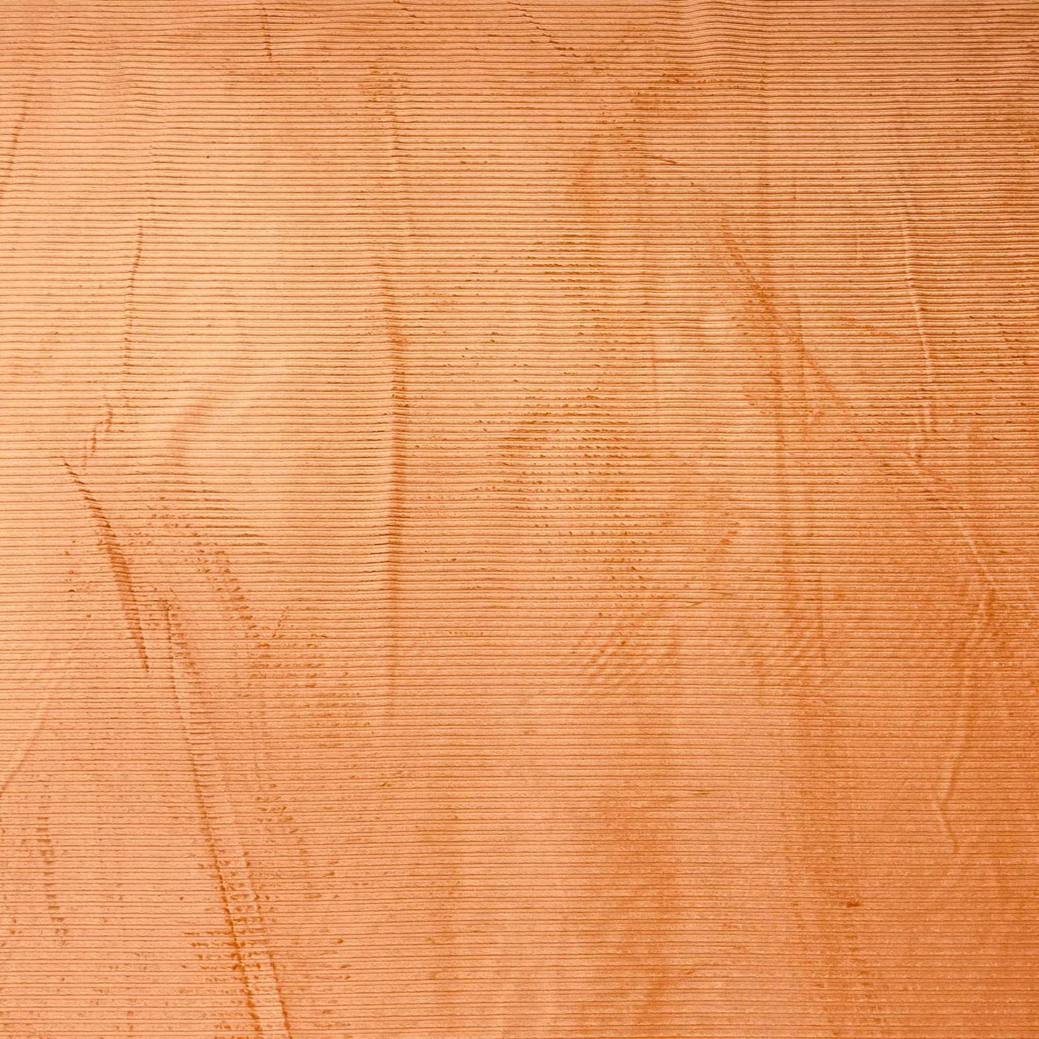 Premium Soft Cotton Needle Corduroy- 55" Wide (Rust)