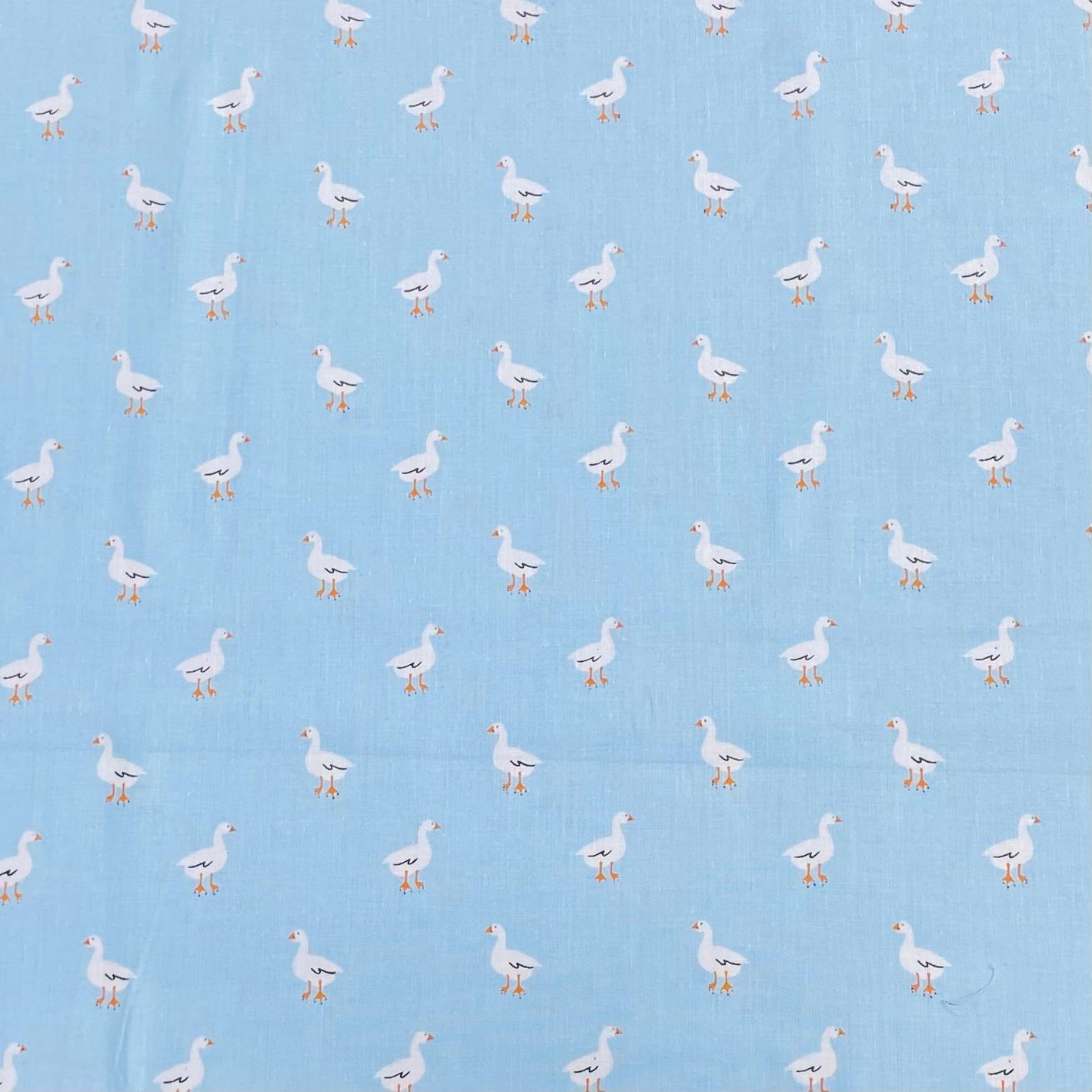 Pound A Metre Per Metre Per Metre Beautiful Digitally Printed 100% Cotton- 45" Wide (Sky Ducks)